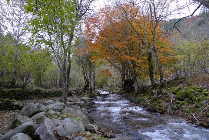 Montes y ríos riojanos 