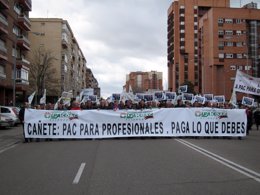 Participantes en la manifestación convocada por UPA y COAG