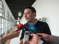 PSOE-A confía en que los recursos de la Junta y del Parlamento andaluz al TC paralicen la reforma local del Gobierno