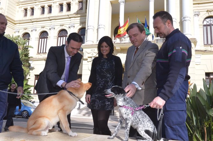 Raúl Jiménez, en un acto sobre perros del Centro Zoosanitario.