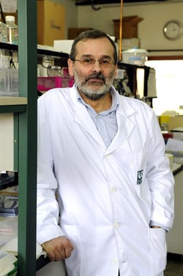 El investigador Ángel Pazos