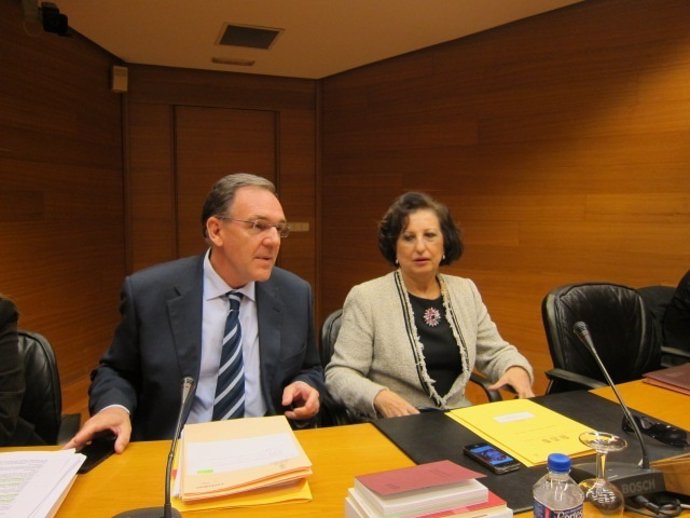 Rafael Carbonell en la Comisión de Educación de las Corts
