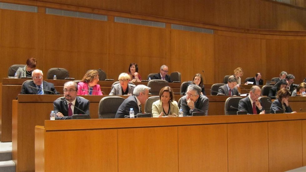 El Justicia ha presentado su informe en un pleno extraordinario