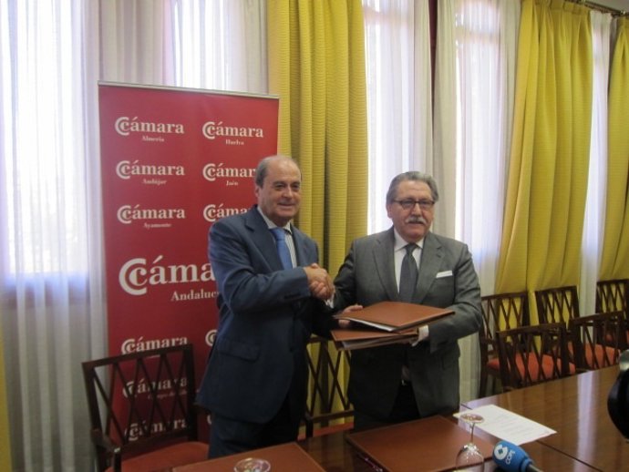 El presidente del Consejo Andaluz de Cámaras y del Consejo Superior de Cámaras