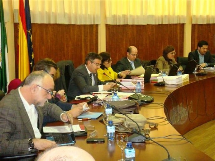 El consejo de gobierno de la Universidad de Huelva (UHU). 