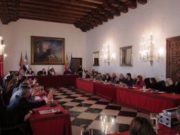 Pleno Extraordinario En El Ayuntamiento De Cáceres