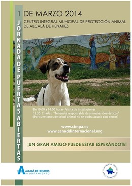 Fundación Canadd  Internacional