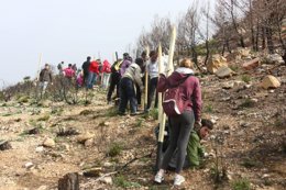 Gob y recuperación de la Trapa