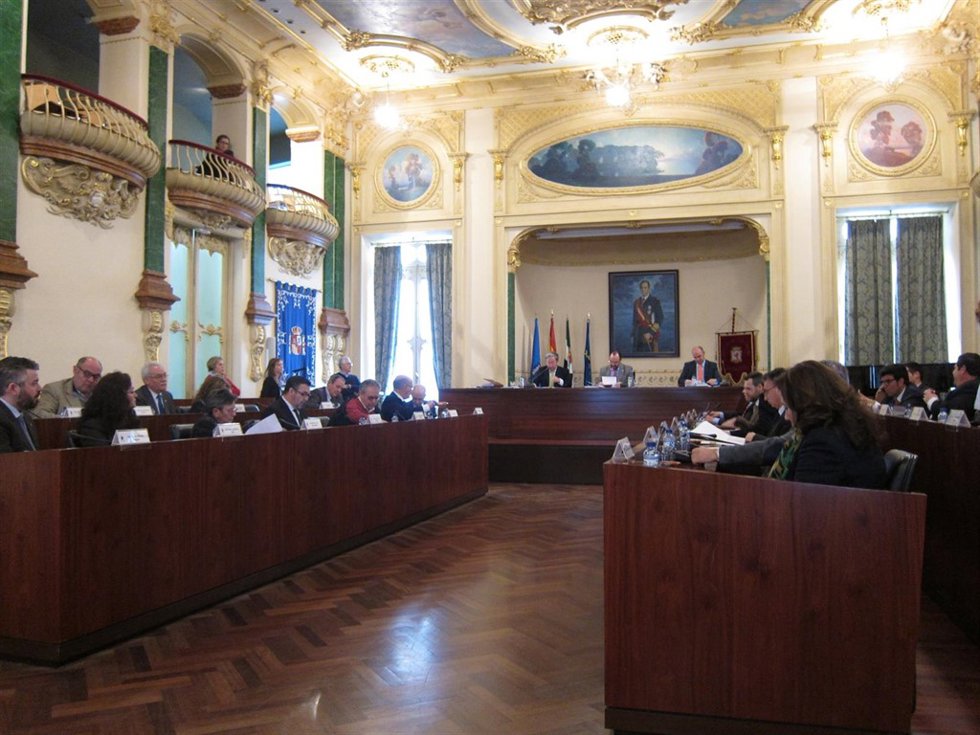 Pleno diputación 