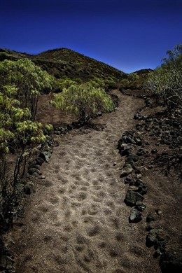 Malpaís de Güímar