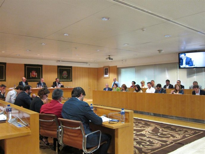 Pleno de la Diputación de Sevilla