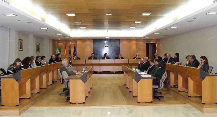 Pleno ordinario en el Ayuntamiento de El Ejido