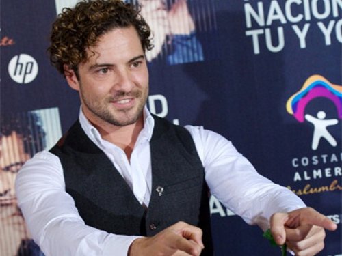 David bisbal canta en ¡mira quién baila!
