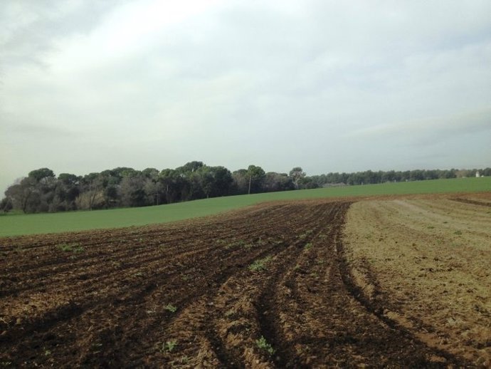 Para cobrar la ayuda primero es necesario justificar las actuaciones realizada