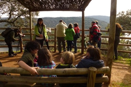 Turistas observando aves