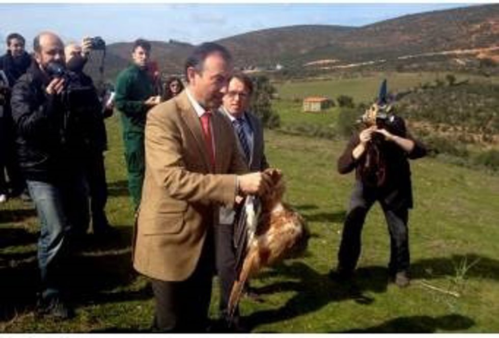 Laureano León Suelta Un Ave En La Feria FIO En Monfragüe