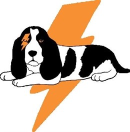 Conciertos Guau Guau