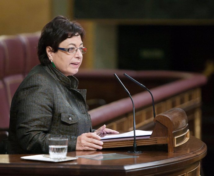 Olaia Fernández Davila, diputada del BNG, en el hemiciclo