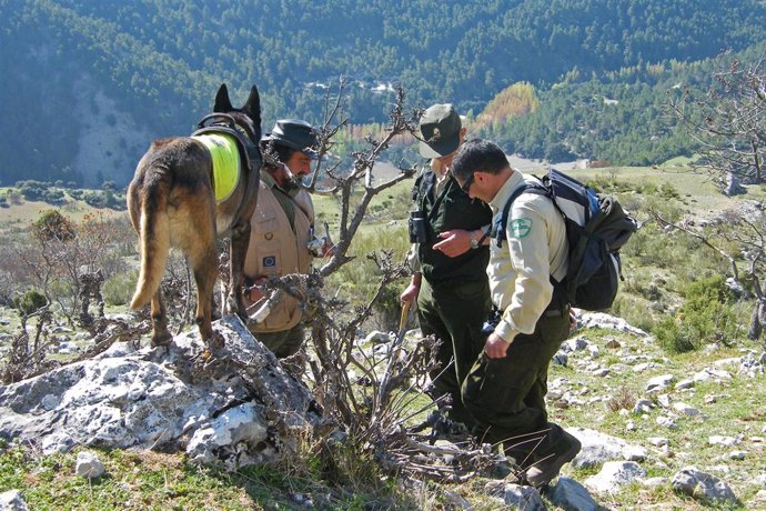 Agentes de Medio Ambiente de la Consejería y del Seprona