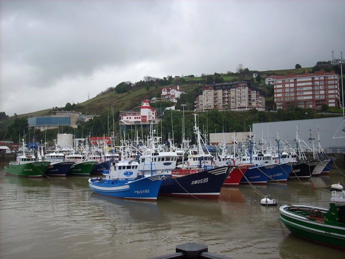 Puerto de Bermeo