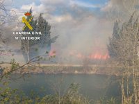 Detenido el supuesto autor de un incendio en un paraje natural de Burriana