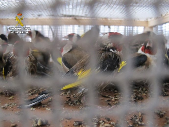 Aves enviadas de Sevilla a Barcelona