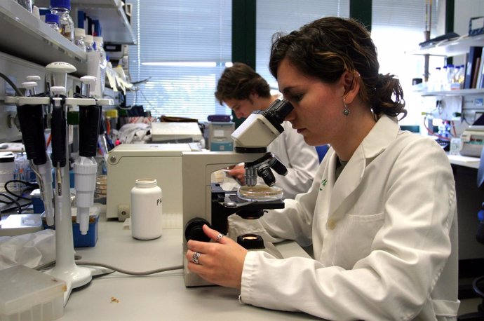 Actividad investigadora en la universidad