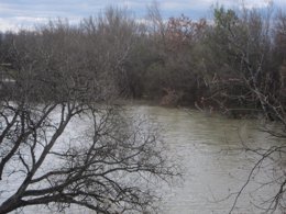El río ha anegado hectáras de cultivo en algunos municipios de la ribera