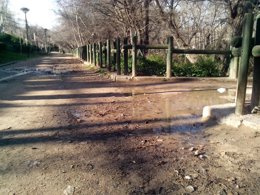 Camino en mal estado en el Parque Bruil