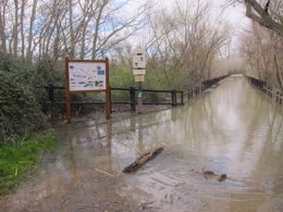 El Ebro inunda el paseo del Galacho de Juslibol en Zaragoza