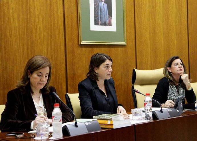 Elena Cortés, hoy en comisión parlamentaria