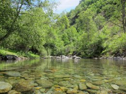 Río De Montaña