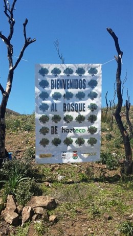 Atresmedia y WWF, con el Bosque Hazte Eco