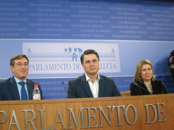 Carlos Rojas, Rafael Carmona y Teresa Ruiz Sillero