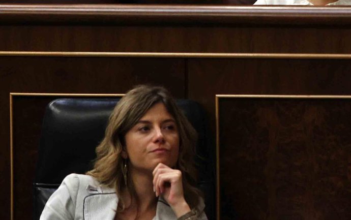 Bibiana Aído en el Congreso