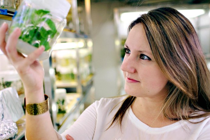 Selena Giménez-Ibáñez