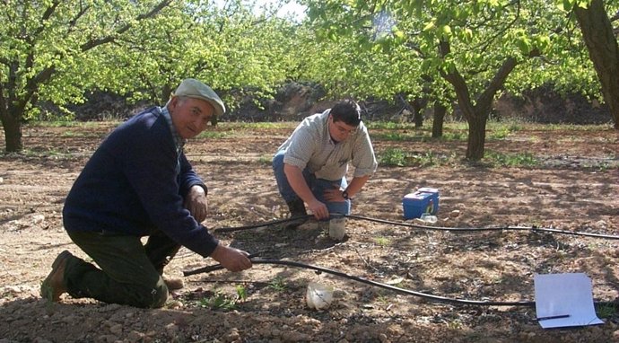 Agricultor, Riego, Cultivo, Campo, 