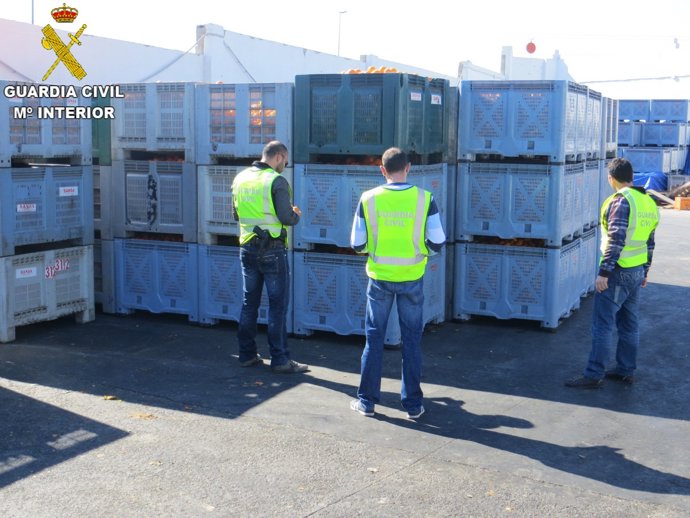 Naranjas intervenidas en Valencia en una operación con 45 imputados