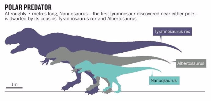 Tiranosaurio diminuto encontrado en Alaska