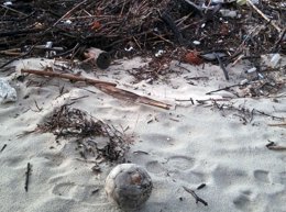 Basura en las playas gallegas, estudio del IEO y Asociación Ambiental Ollamar