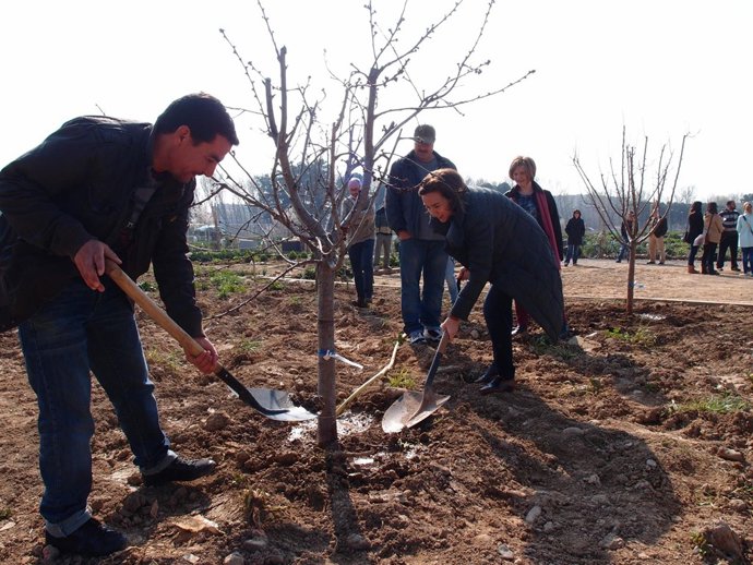 Gamarra planta árboles en los huertos sociales  