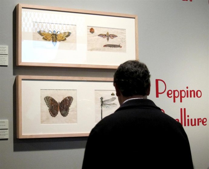 Un espectador en la muestra dedicada a Peppino Benlliure