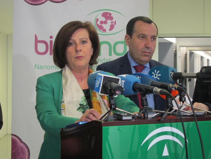 La consejera de Salud, María José Sánchez Rubio, en rueda de prensa