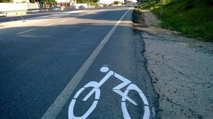 Imagen del carril bici señalizado en los arcenes de la carretera