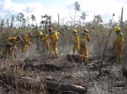 Incendio forestal en Camagüey, Cuba