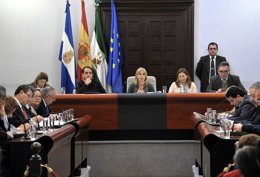 Pleno extraordinario del Ayuntamiento de Jerez