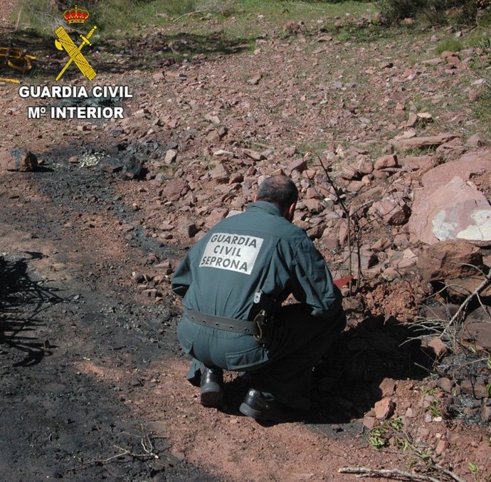 Un guardia civil examina una zona afectada por incendio