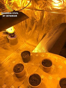 Punto de venta de droga desmantelado en Isla Cristina. 