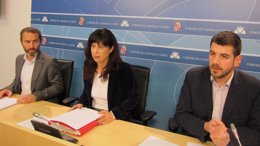 Los procuradores socialistas reclaman el AVE Valladolid-Burgos
