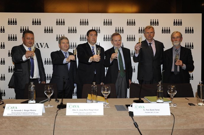 Resultados económicos Cava 2013